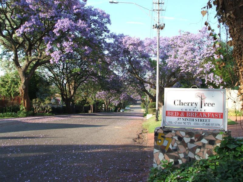 Cherry Tree Cottage B&B Linden Johannesburg Exterior photo